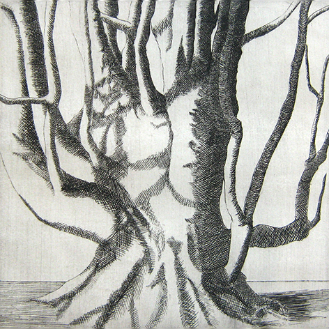 Renate Bosetti